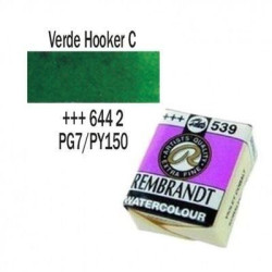 ACUA. REMBRANDT PAST. (644) VERDE HOOKER CL.