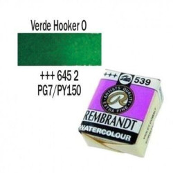 ACUA. REMBRANDT PAST. (645) VERDE HOOKER OSC.