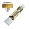 ACUA. REMBRANDT 20 ml (408) T. SOMBRA NAT.