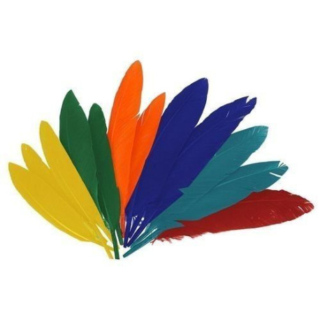 Plumas Indio 60 Un. de 10 a 14 cm colores surtidos