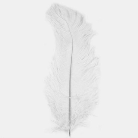 Pluma de Avestruz 30 a 35 cm Blanca