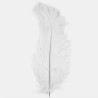 Pluma de Avestruz 30 a 35 cm Blanca