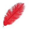 Pluma de Avestruz Roja