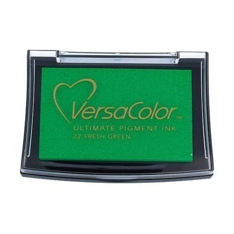 Tinta Scrap VERSACOLOR 95x65 mm Verde Claro