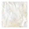 PLUMAS SUAVES 3gr TAMAÑO 8/12cm COLOR BLANCO