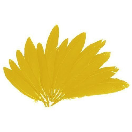 Plumas Indio 60 Un. de 10 a 14 cm color Amarillo