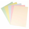 Pack 25 Cartulinas 50x65 cm 180 gr Surt. Colores Pastel