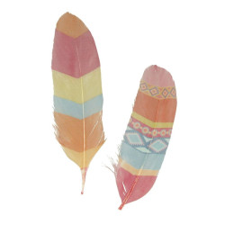 *PLUMAS DECORADAS 6 Un. 12/15cm TOTEM