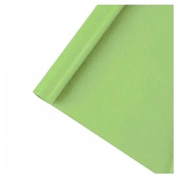 PAPEL KRAFT ROLLO 100cm 25m VERDE CLARO