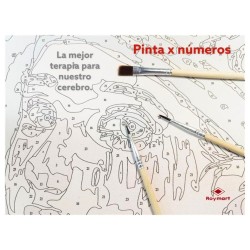 *PINTAR POR NUMEROS AL OLEO 40x50cm ALEX BOG SG-0001