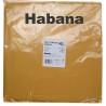 BOLSA DISFRAZ PLASTICO PACK 25 Un. 65x90cm HABANA