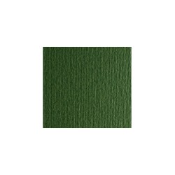 CART. ELLE-R 50x70cm 220 gr VERDE SELVA / VERDONE