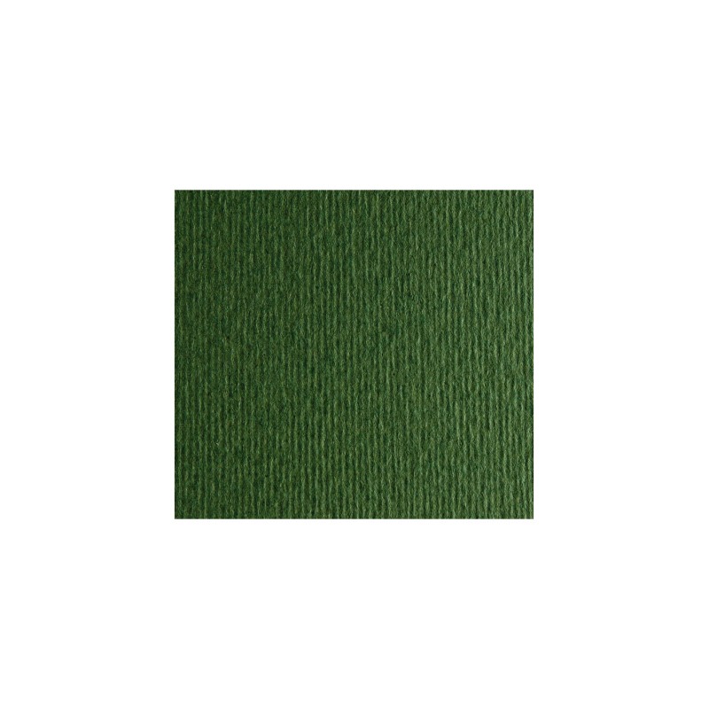 CART. ELLE-R 50x70cm 220 gr VERDE SELVA / VERDONE