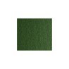 CART. ELLE-R 50x70cm 220 gr VERDE SELVA / VERDONE