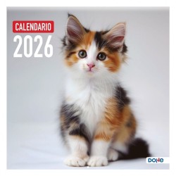 CALENDARIO PARED DOHE 30x30cm NOTAS 5 IDIOMAS GATOS