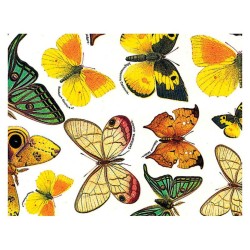 PAPEL DECOUPAGE 50x70cm TASSOTTI 1717 MARIPOSAS