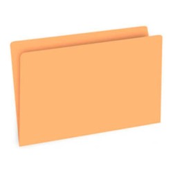 SUBCARPETA 50 Un. A4 (315x235mm) 180gr PASTEL SALMON