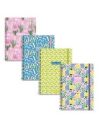 AGENDA ESCOLAR CASTELLANO